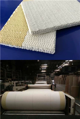Corrugated Paper Board Conveyor Belts